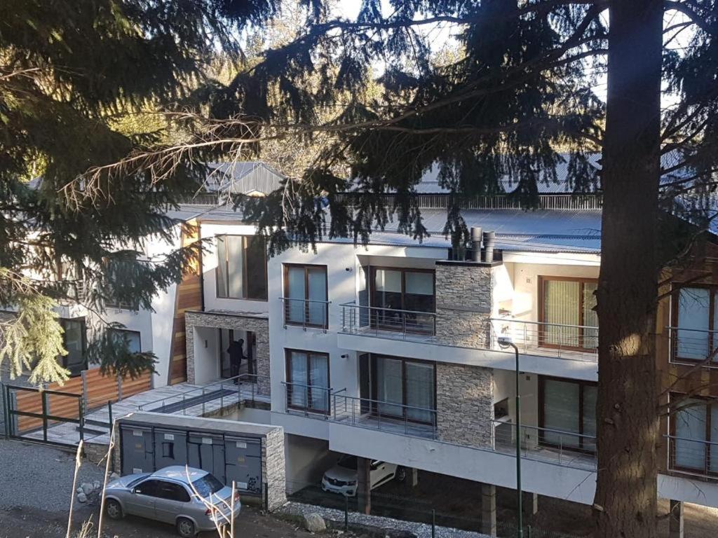 R&R Vibes Daire Villa La Angostura Dış mekan fotoğraf