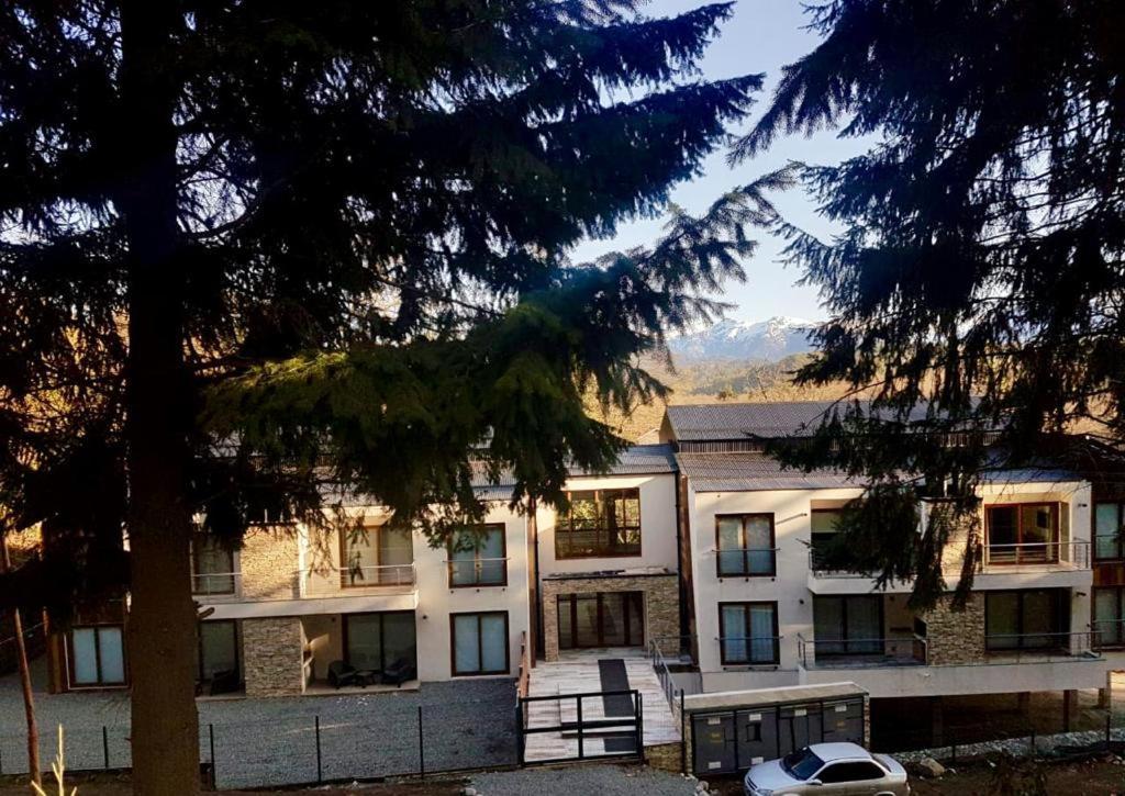 R&R Vibes Daire Villa La Angostura Dış mekan fotoğraf